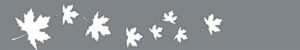 MACADAM FEUILLES